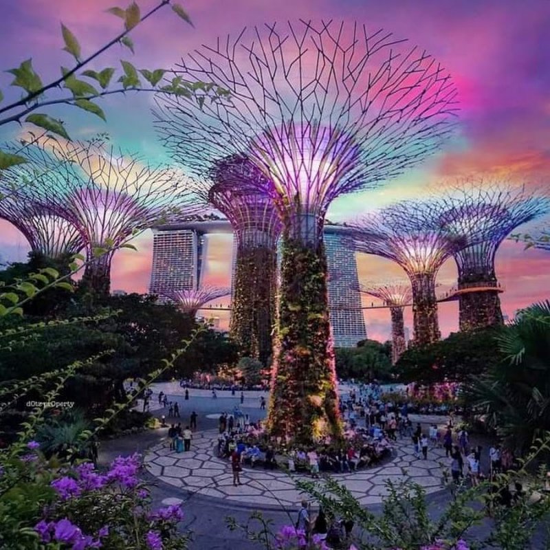 Сингапур сады Gardens by the Bay