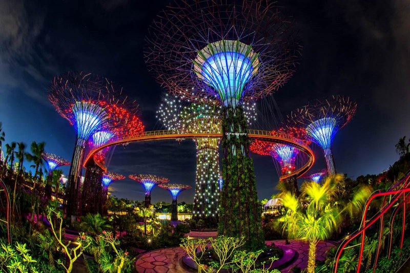 Сингапур деревья аватар