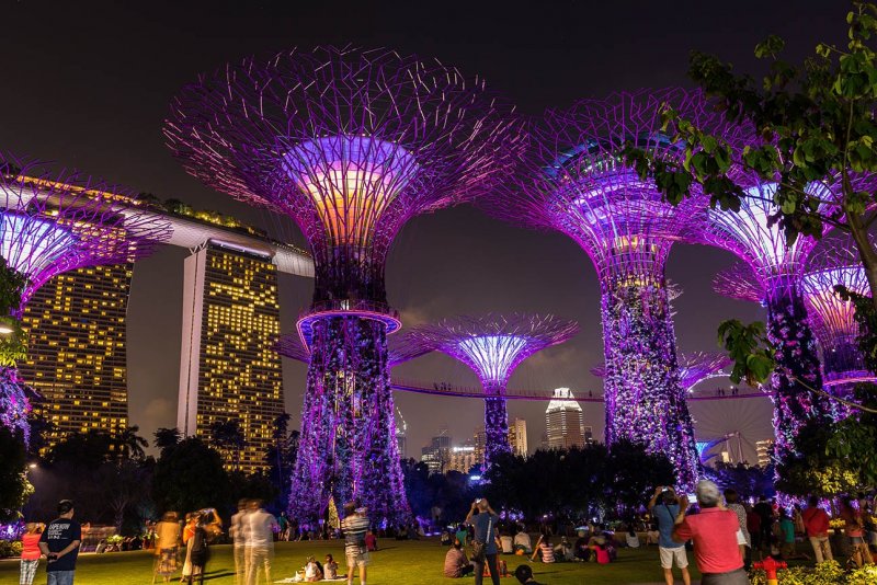 Supertrees Сингапур