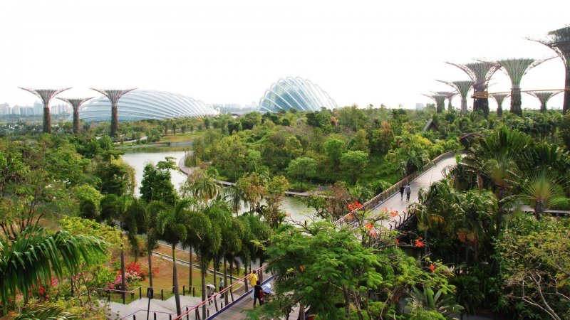 Аэропорт сады у залива Сингапур
