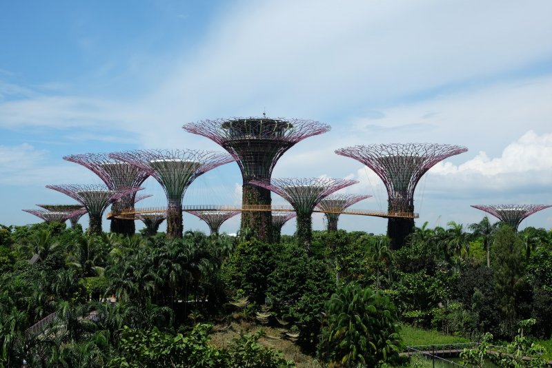 Gardens by the Bay in Singapore (Gardens by the Bay)