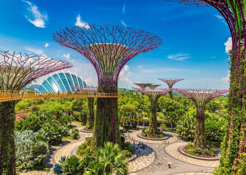 Сады у залива природный парк в Сингапуре