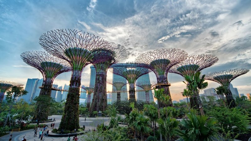 Сады у залива Сингапур Стрекозиное озеро