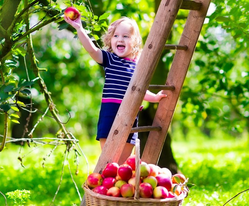Фотосессия с яблоками в саду