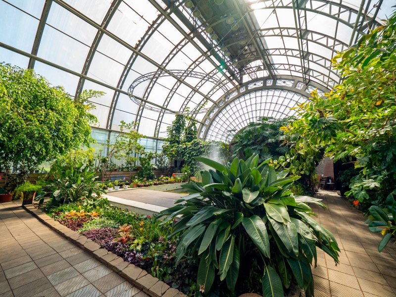 Таврический сад Питер оранжерея