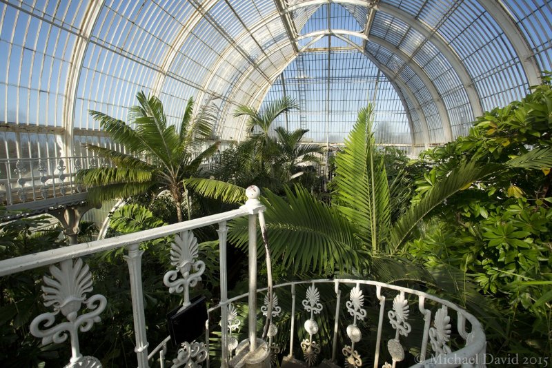 Оранжерея Таврического сада в Санкт-Петербурге