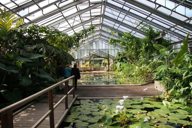 Павильон Палм-Хаус в Ботаническом саду Кью Гарденз