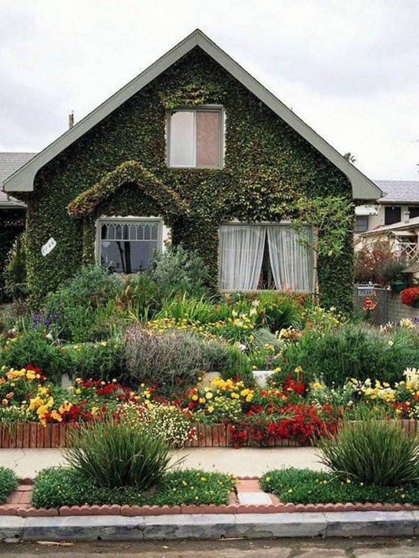 Красивый домик с огородом