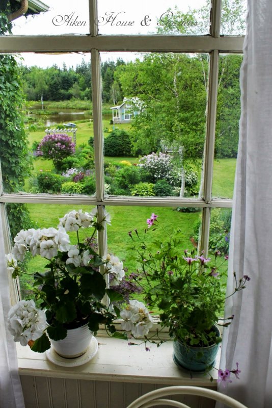 Даче открытое окно в сад