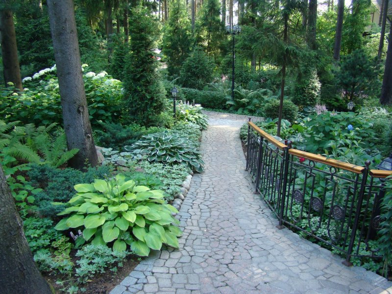 Ботанический сад АГУ В Барнауле