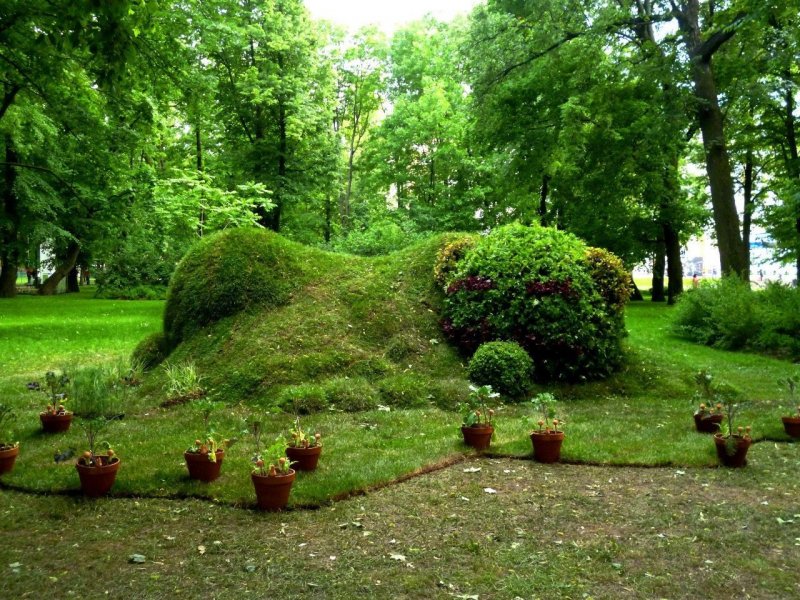 Сад Анастасии Марковской