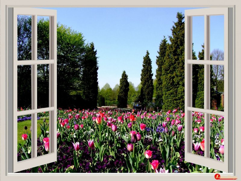 Фотообои на стену окно в сад