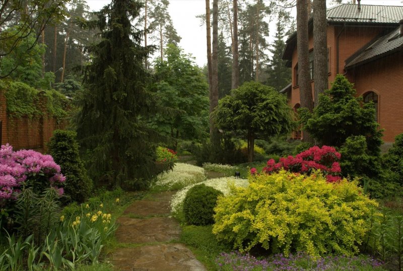 Полярный Альпийский Ботанический сад Кировск