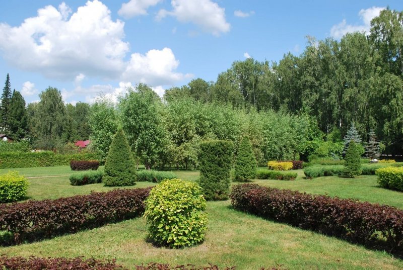 Центральный Сибирский Ботанический сад Новосибирск