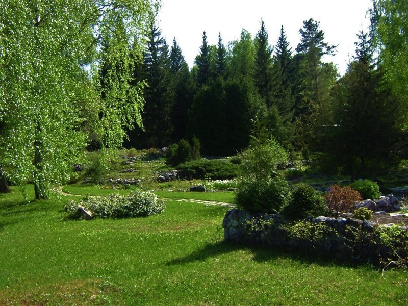 Ботанический сад Новосибирск Академгородок