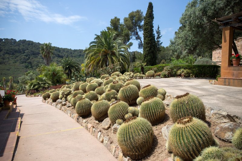 Ботанический сад Испания