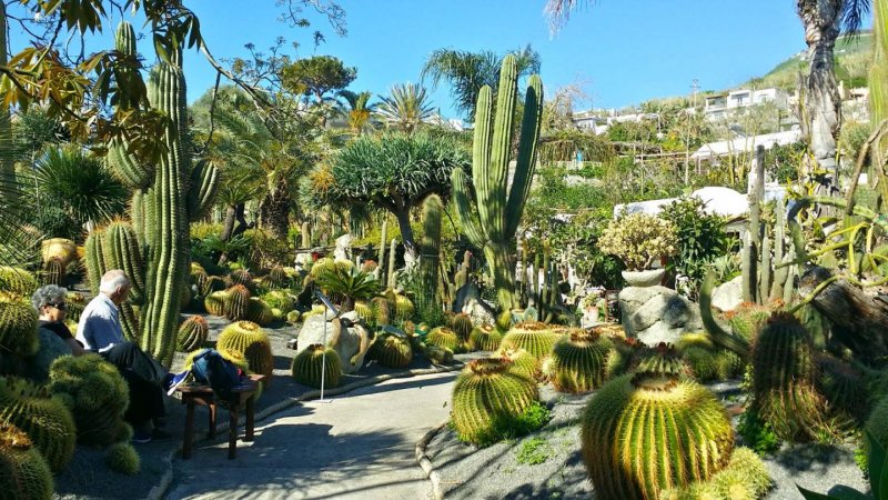 Кактусовый сад в Монте-Карло