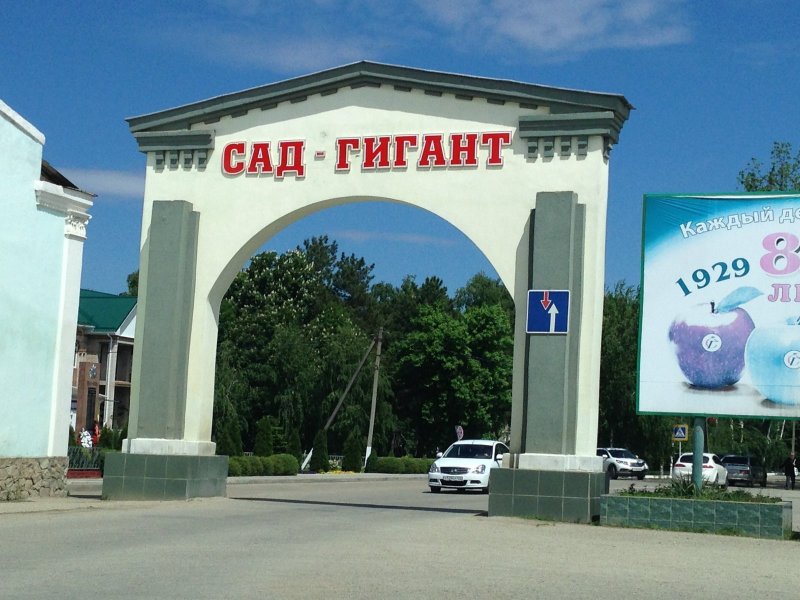 Славянск-на-Кубани Краснодарский край сад гигант