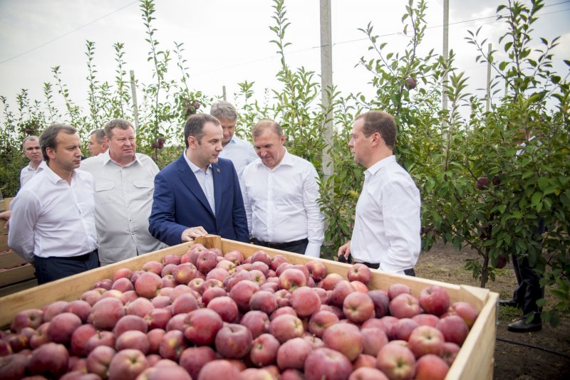 Липецкая область Лебедянский завод яблок