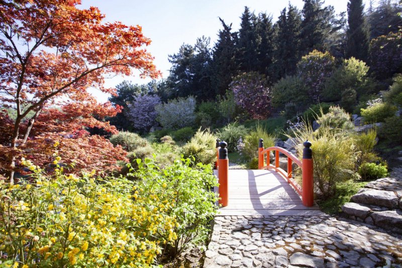 Японский сад Мрия Крым