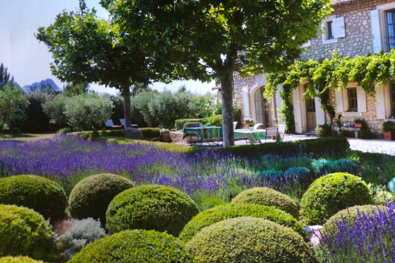 Французский сад Прованс