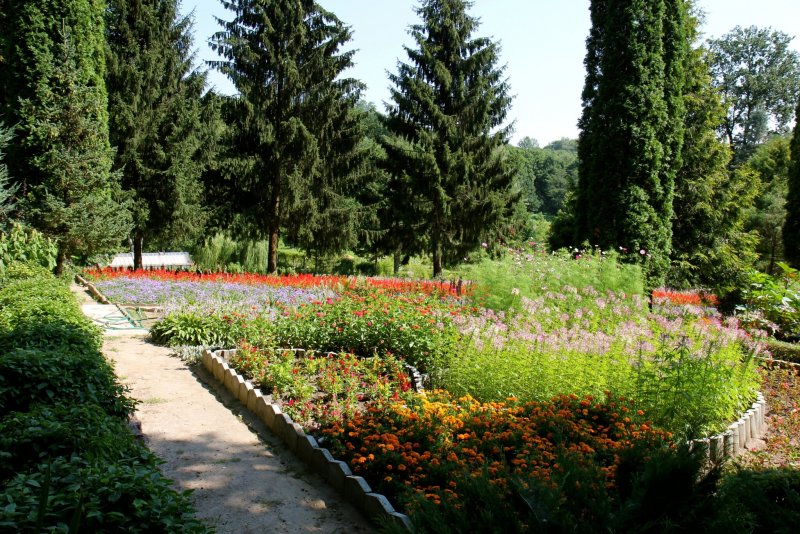 Горки Ботанический сад