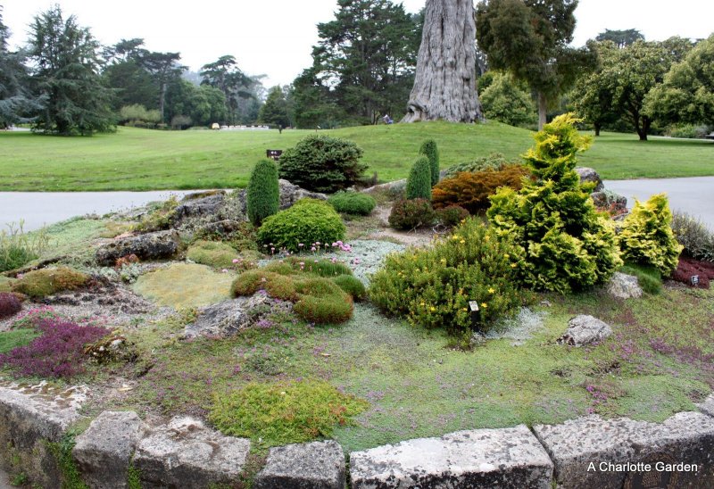 Королевский Ботанический сад Эдинбурга рокарий