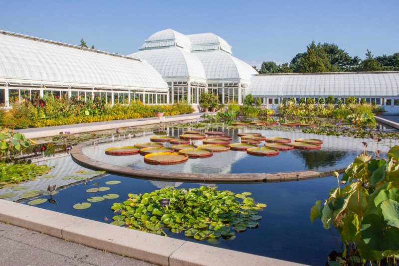 Дендрологические парки и Ботанические сады в Москве