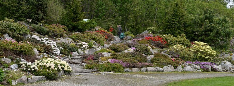 Ботанический сад тромсё Норвегия