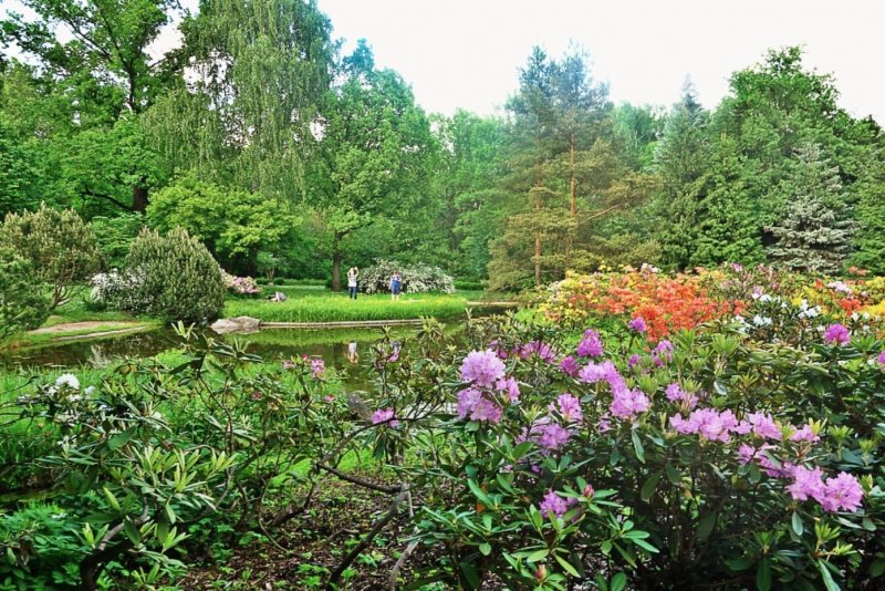 Ботанический сад Цицина Москва
