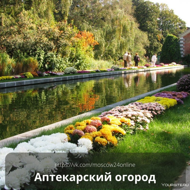 Ботанический парк МГУ Аптекарский огород