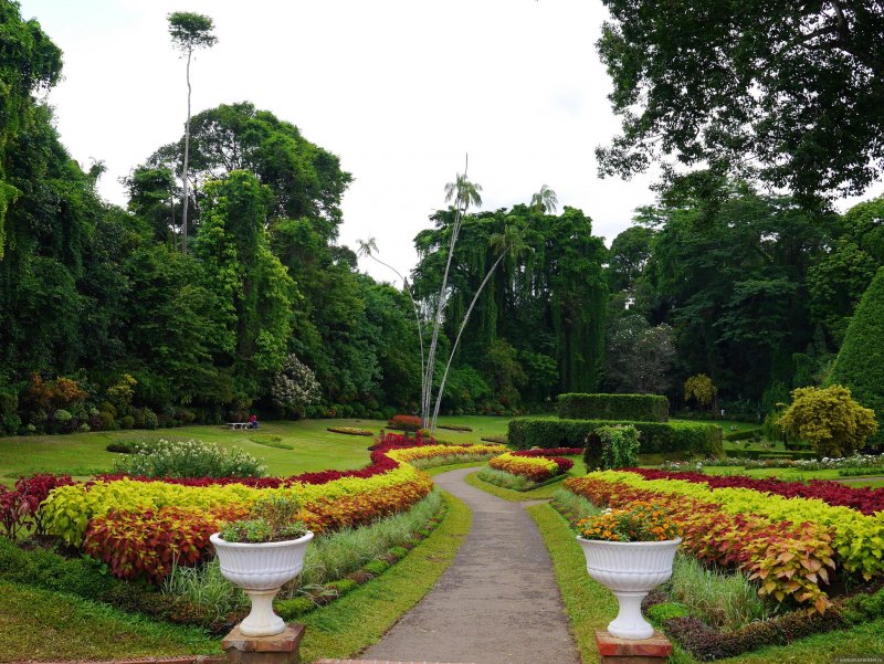 Ботанический сад Йошкар-Ола