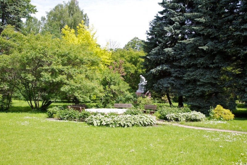Парк-Дендрарий ботанического сада СПБ
