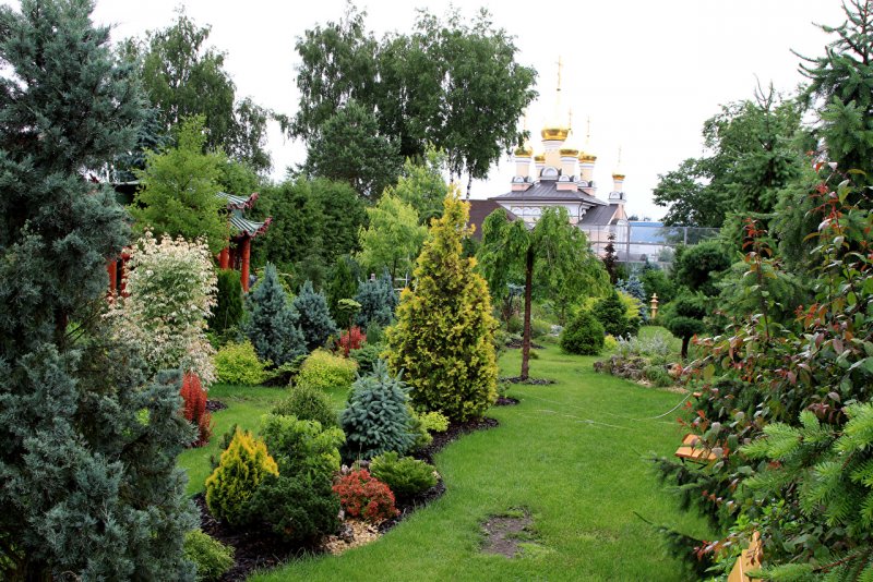 Ботанический сад Аптекарский огород Москва