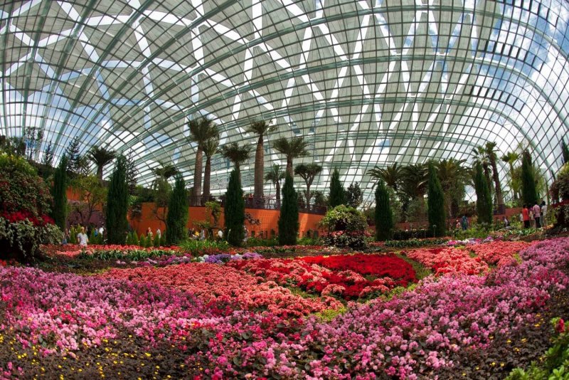 Ботанический сад Санкт-Петербург Дендрарий