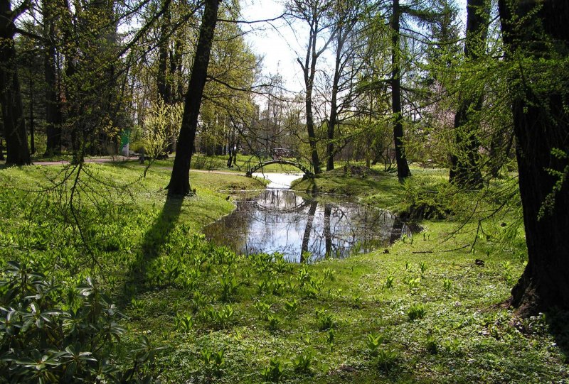 Ботанический сад Арборетум