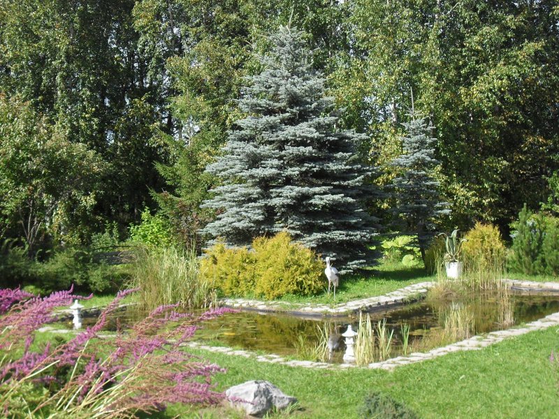 Соликамский Ботанический сад Соликамск