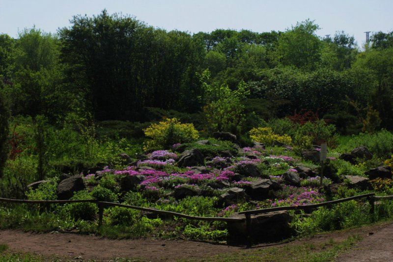 Ботанический сад Самара