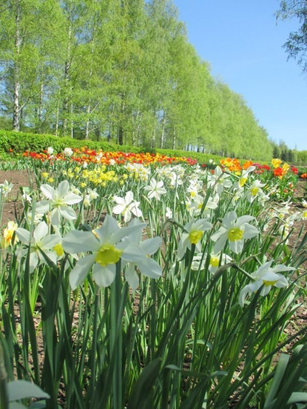 Ботанический сад-институт Уфа