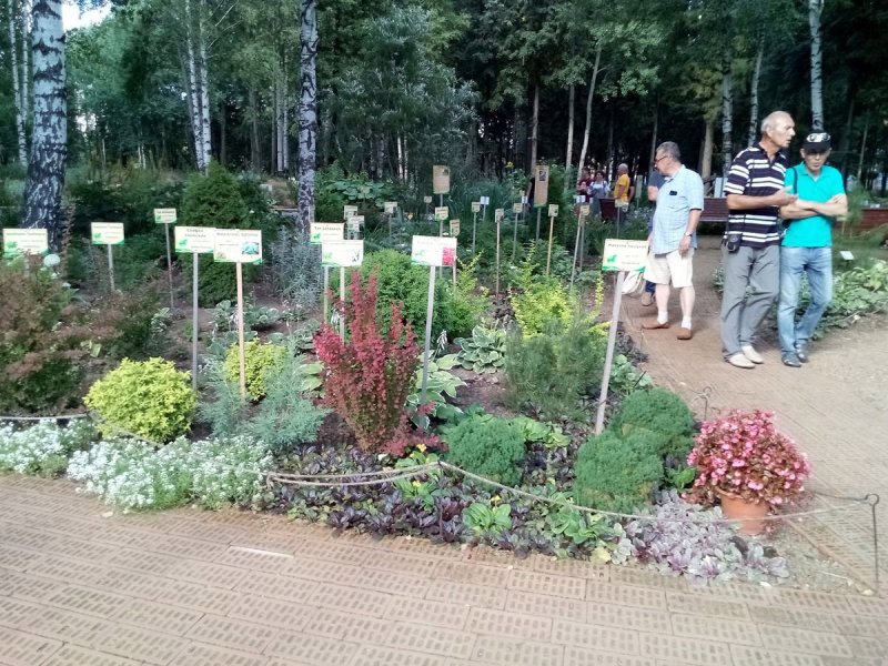 Ботанический сад Волгатеха Йошкар-Ола
