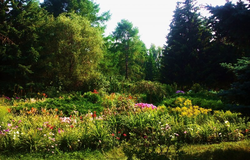 Ботанический сад Киров фото