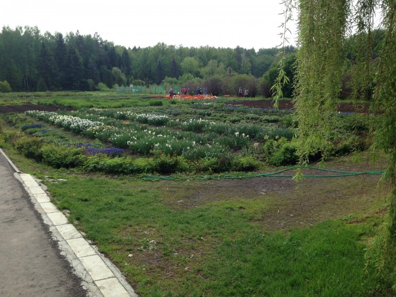 Ботанический сад-институт ПГТУ Йошкар-Ола