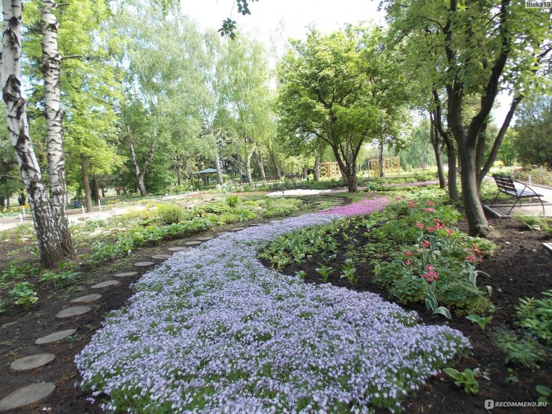 Красноярском крае женщины Ботанический саду