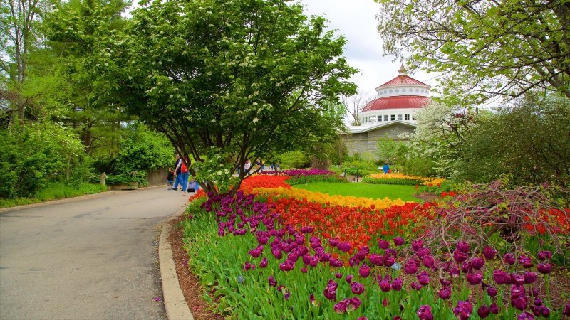 Ботанический сад Кишинев