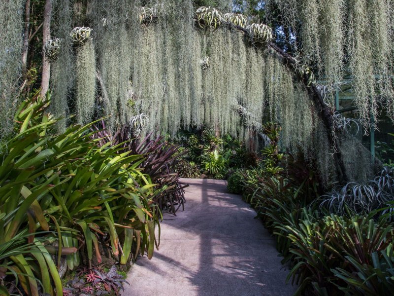 Ботанический парк Троодос