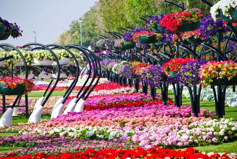Абу Даби парк цветов