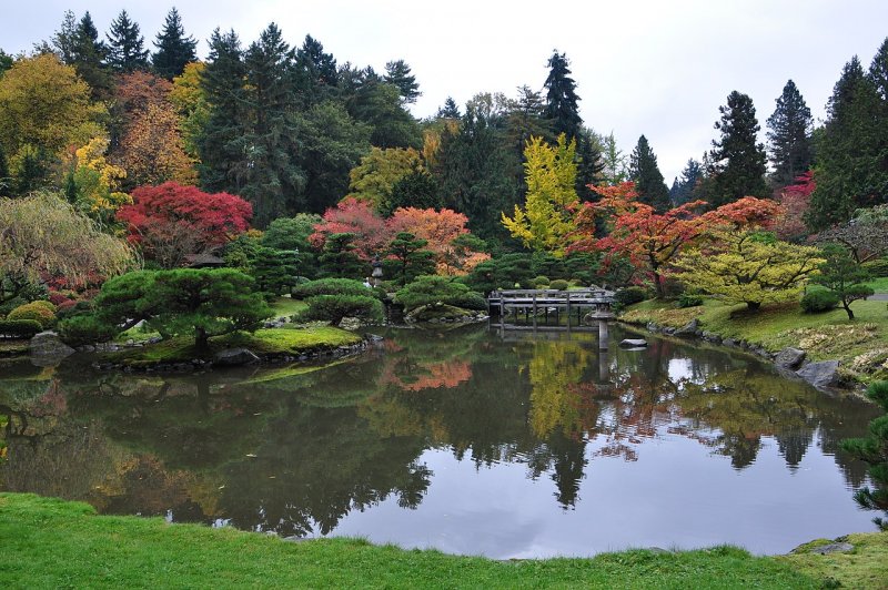 Вашингтонский парк Арборетум Japanese Garden