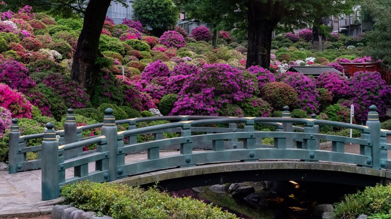 Сады Киото Япония