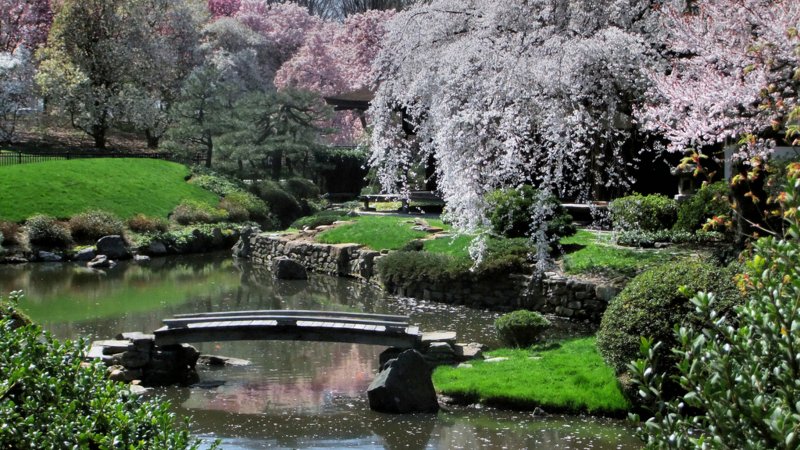 Японский парк Весна
