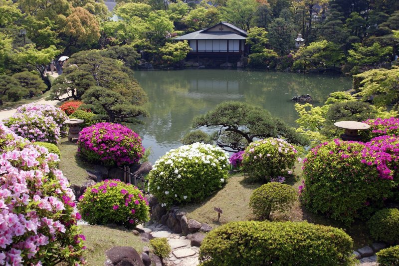 Холмистый сад Япония
